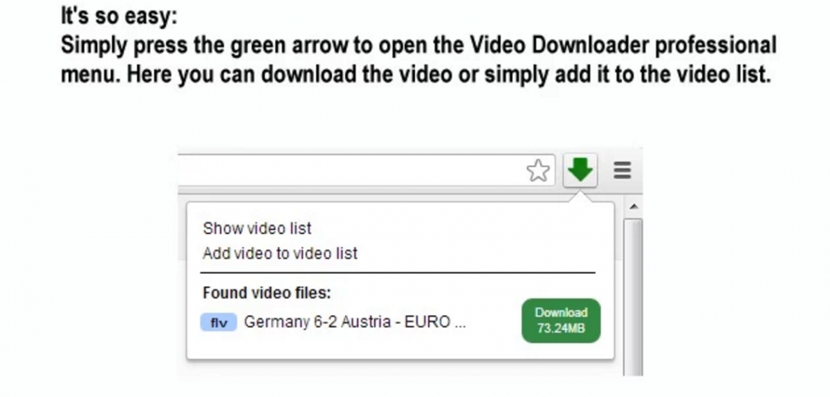 Video list com. Video downloader professional. Video downloader professional Chrome. Логотип Video downloader professional. Video downloader professional загрузка.